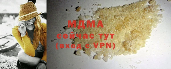 сатива Покачи