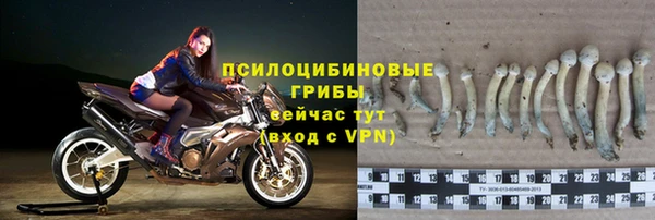 твердый Покров