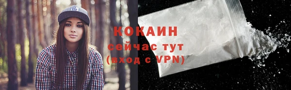 сатива Покачи
