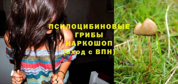 твердый Покров