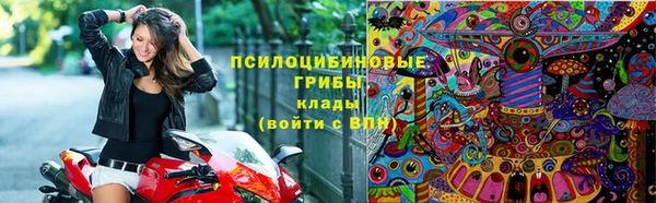 сатива Покачи