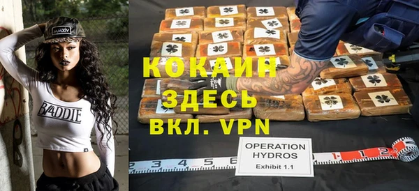 сатива Покачи