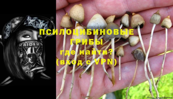 твердый Покров