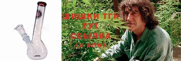 сатива Покачи