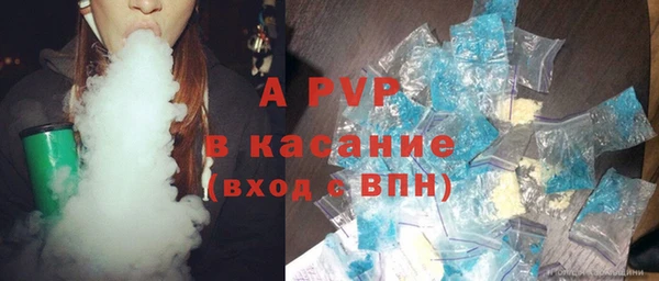 сатива Покачи